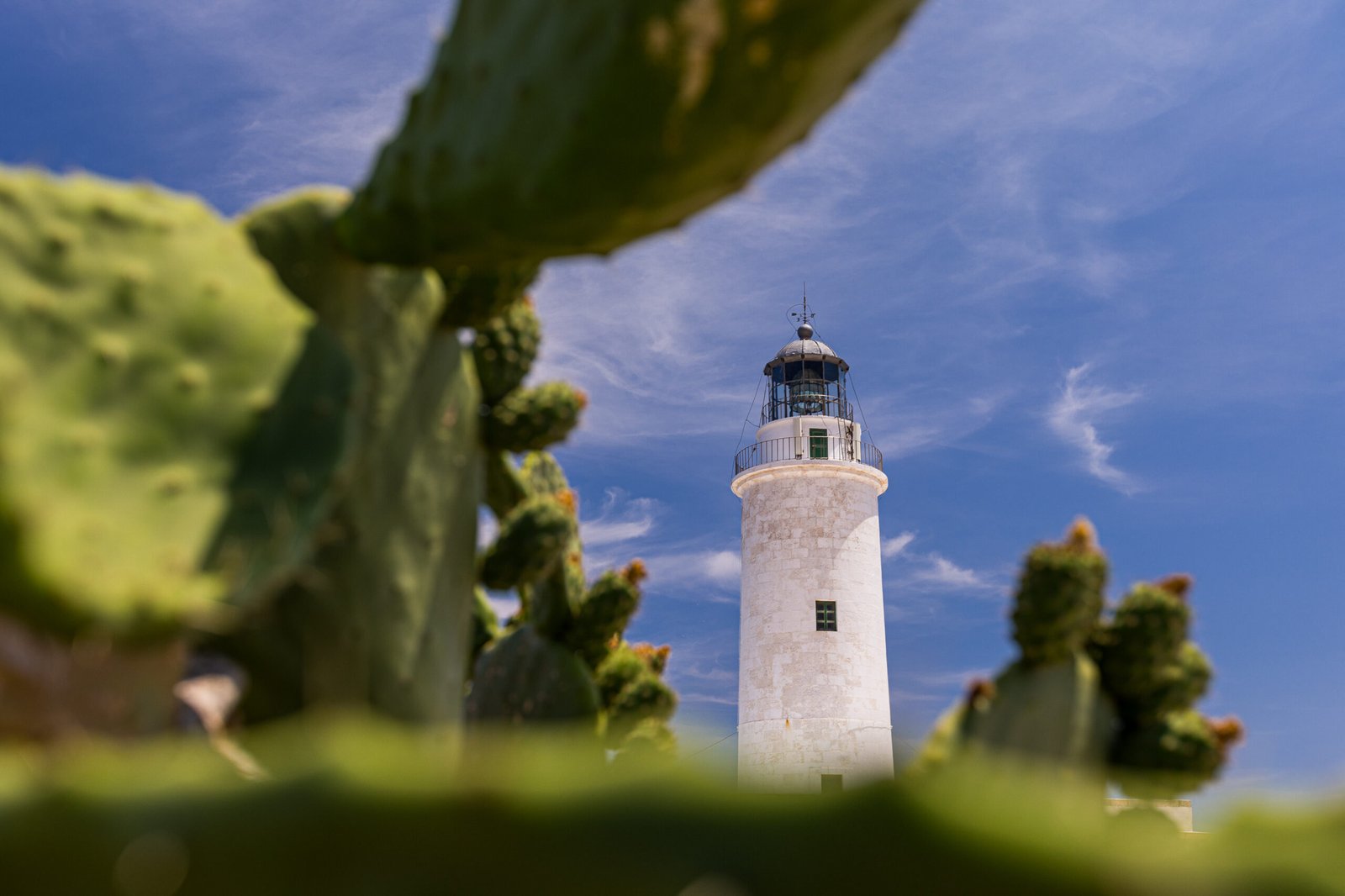 Disfruta de Formentera a caballo