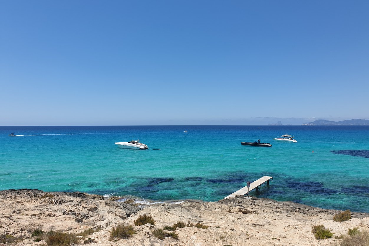 Oltre 195.000m2 di Posidonia Oceanica sono già state sponsorizzate