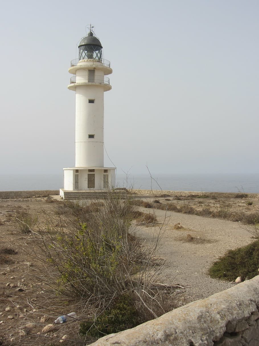 Rutas verdes de Formentera. Sant Francesc – Cap de Barbaria