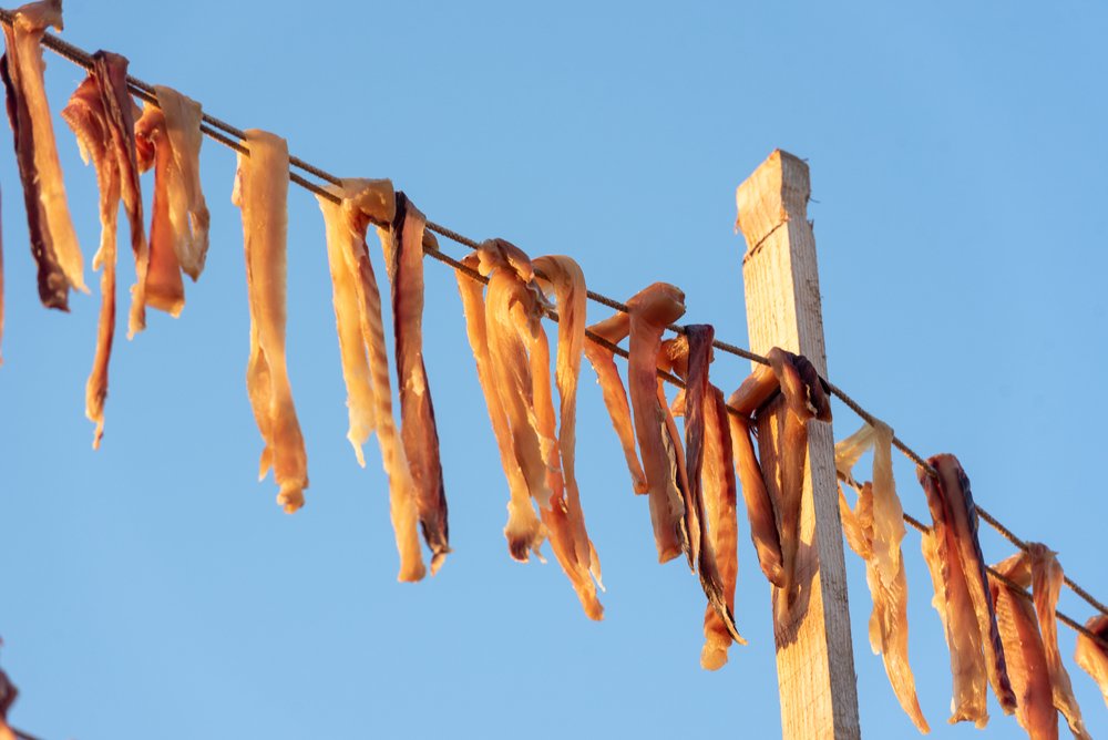 Gastronomia di Formentera