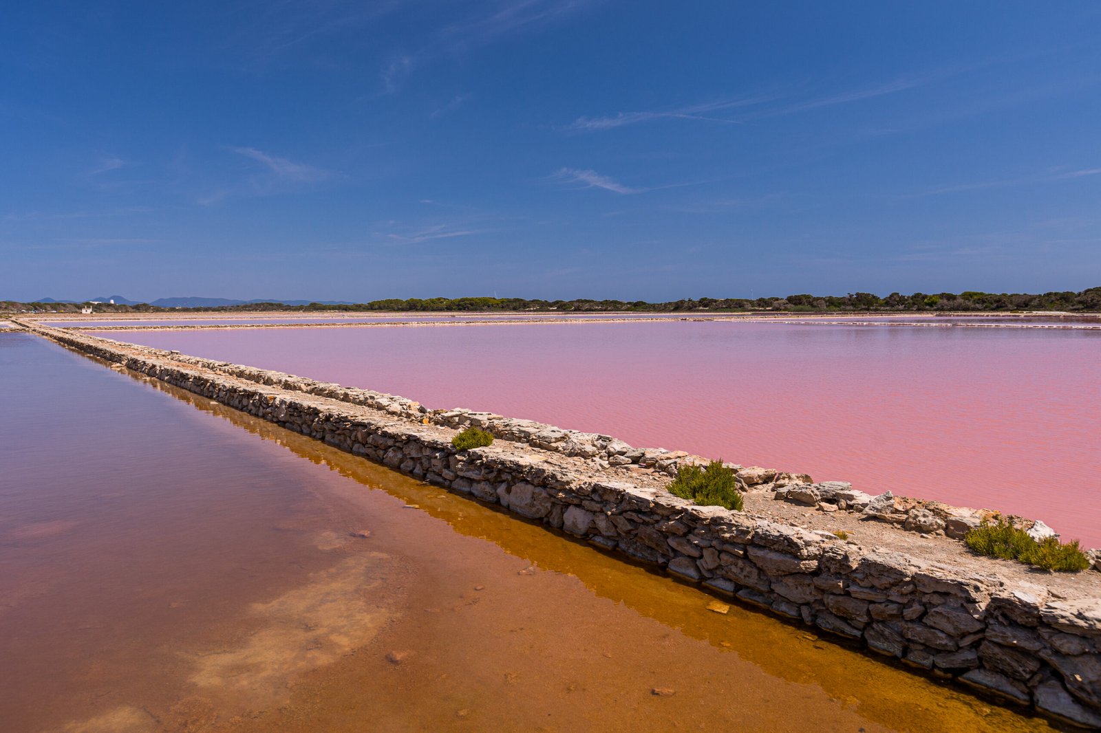 Scoprite il Parco Naturale di Ses Salines