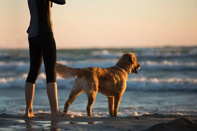 Formentera con tu mascota: playas, alojamientos y consejos