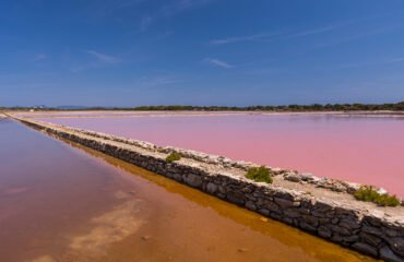 salines