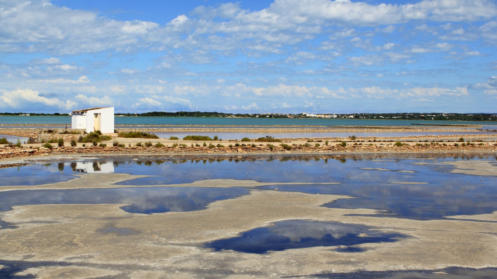 ses salines